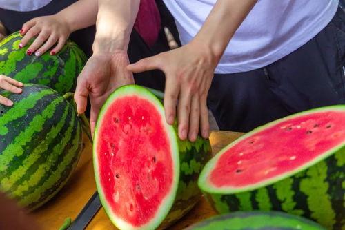 吃瓜免费传送门,带你轻松畅游娱乐世界 第1张 吃瓜免费传送门,带你轻松畅游娱乐世界 第1张